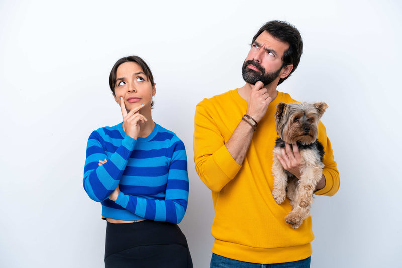 Pareja pensativa con su perro yorkshire en brazos decidiendo entre snacks liofilizados o deshidratados