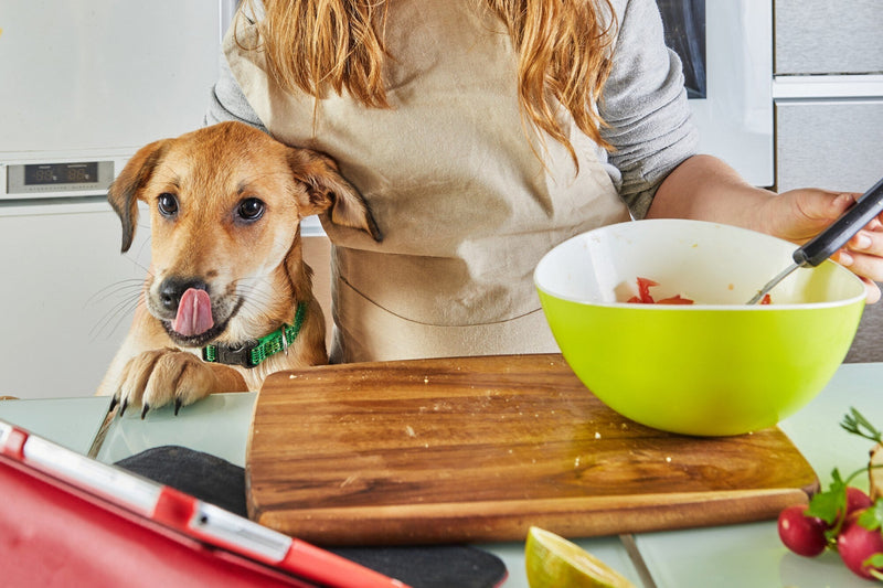 Error común al deshidratar snacks en airfryer: crocantes por fuera, crudos por dentro. Santo Perro ofrece snacks naturales, seguros y bien hechos.