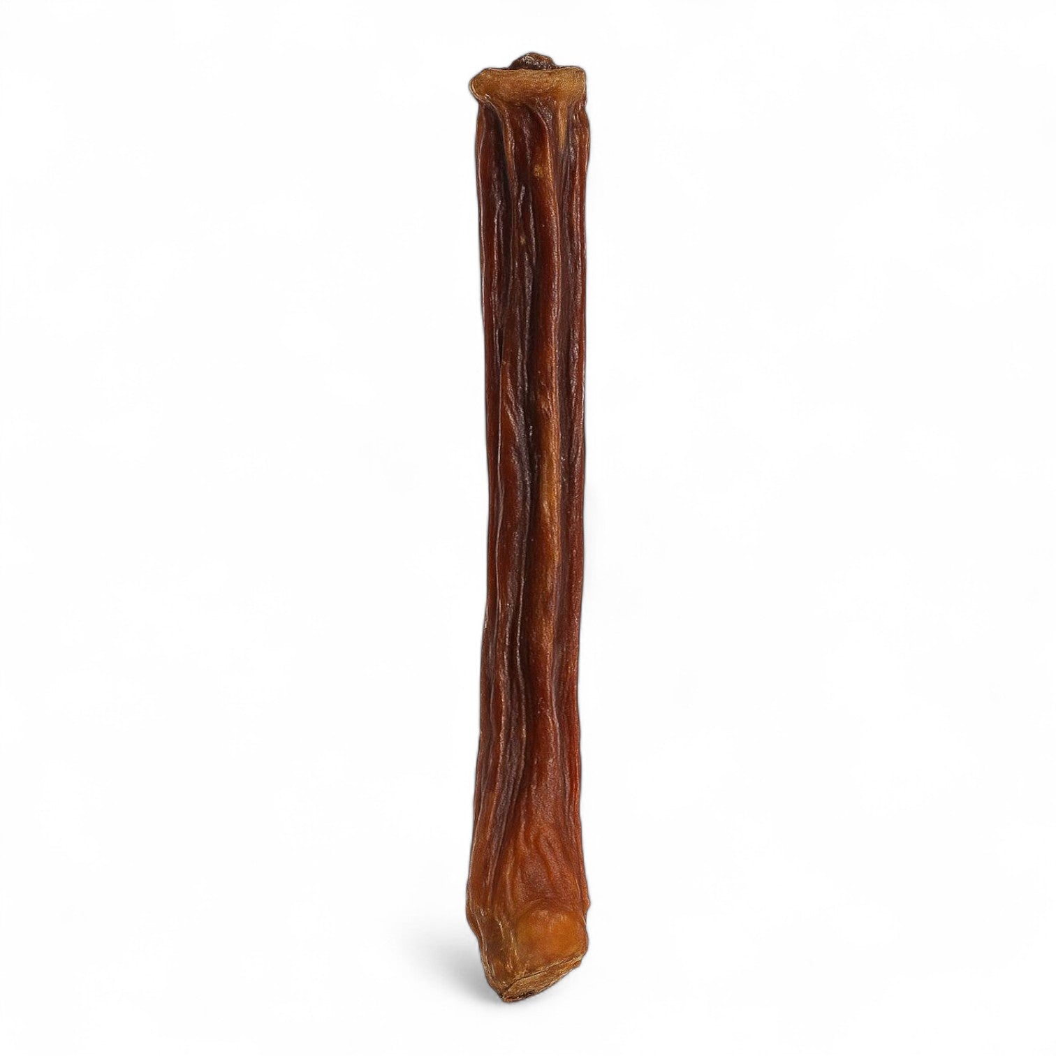 Bully Stick natural de viril de toro para perros de Santo Perro. Masticador recreativo de larga duración que ayuda a la higiene dental y gestión del estrés.