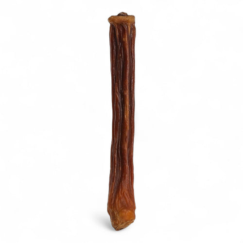 Bully Stick natural de viril de toro para perros de Santo Perro. Masticador recreativo de larga duración que ayuda a la higiene dental y gestión del estrés.