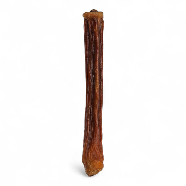 Bully Stick natural de viril de toro para perros de Santo Perro. Masticador recreativo de larga duración que ayuda a la higiene dental y gestión del estrés.